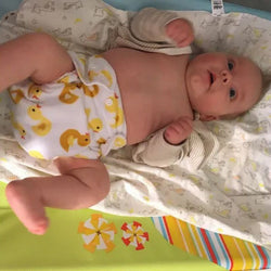 A24A Alvababy- pañal regular de tela lavable y reutilizable, ajustables de 3-15kg, incluye inserto